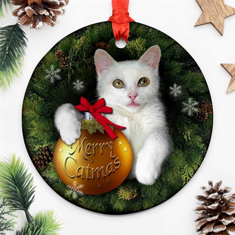 Merry cat Front