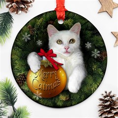 Merry cat Back