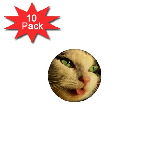 Mousy 1  Mini Magnet (10 pack)  from ArtsNow.com Front