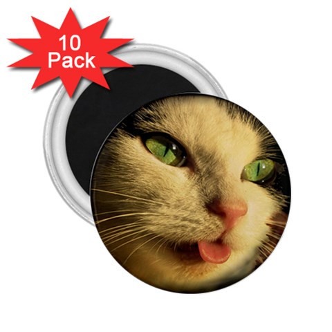 Mousy 2.25  Magnet (10 pack) from ArtsNow.com Front