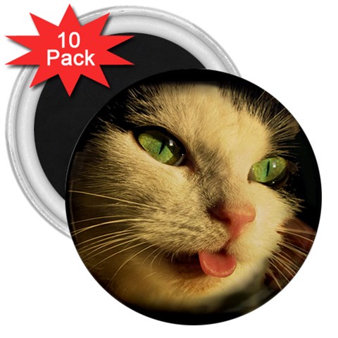 Mousy 3  Magnet (10 pack) from ArtsNow.com Front