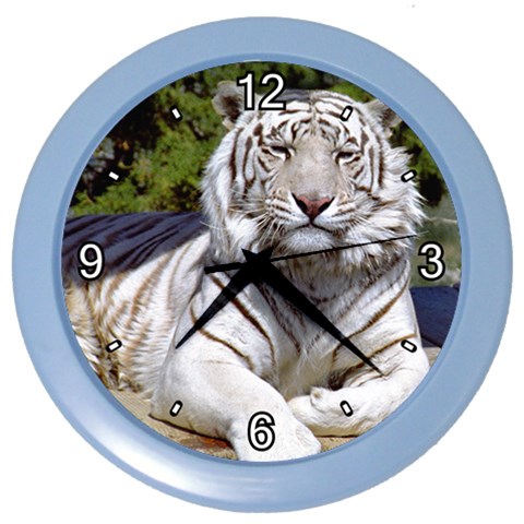 White Tiger 9 Color Wall Clock from ArtsNow.com Front