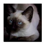 Siamese Cat Tile Coaster