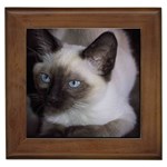 Siamese Cat Framed Tile