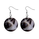 Siamese Cat 1  Button Earrings