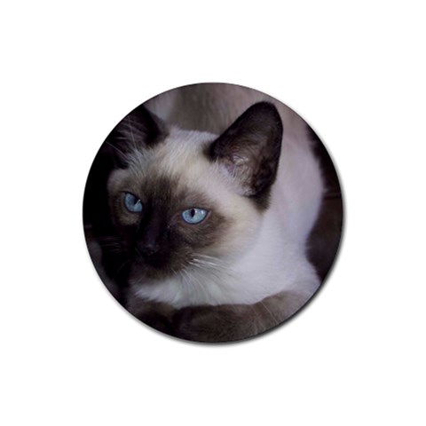 Siamese Cat Rubber Round Coaster (4 pack) from ArtsNow.com Front