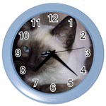 Siamese Cat Color Wall Clock