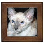 Siamese Cat D2 Framed Tile