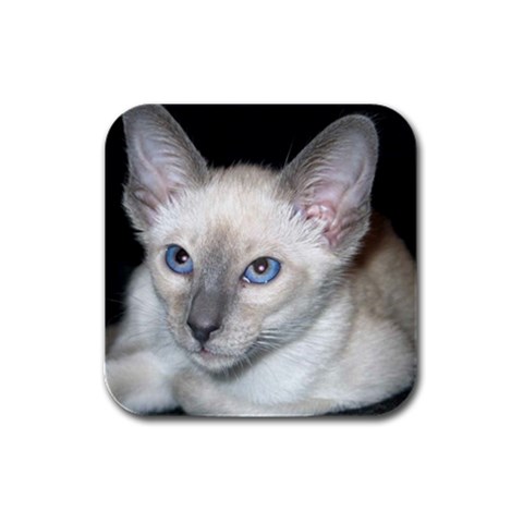 Siamese Cat D2 Rubber Square Coaster (4 pack) from ArtsNow.com Front