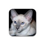 Siamese Cat D2 Rubber Square Coaster (4 pack)