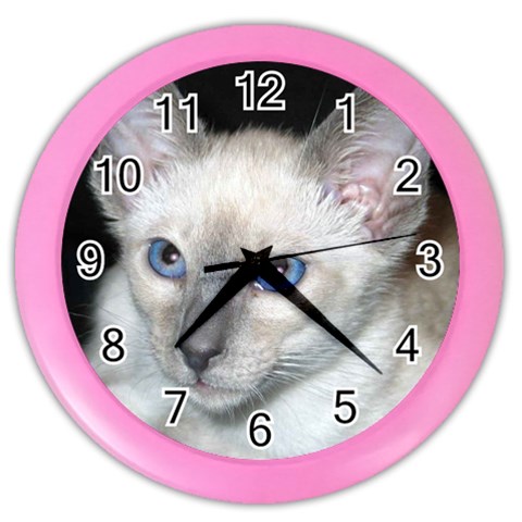 Siamese Cat D2 Color Wall Clock from ArtsNow.com Front