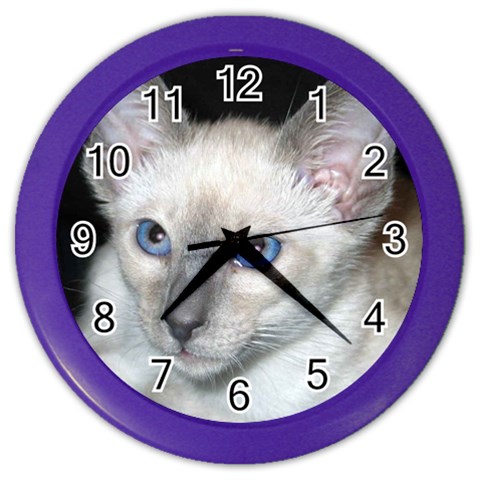 Siamese Cat D2 Color Wall Clock from ArtsNow.com Front