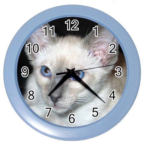 Siamese Cat D2 Color Wall Clock from ArtsNow.com Front