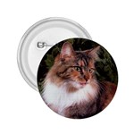 Maine Coon 2.25  Button