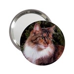 Maine Coon 2.25  Handbag Mirror