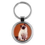 Sealpoint Key Chain (Round)