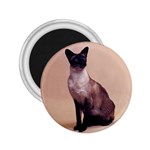 Siamese 2.25  Magnet