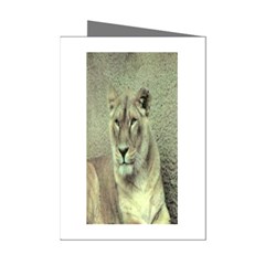 Lioness Mini Greeting Cards (Pkg of 8) from ArtsNow.com Left