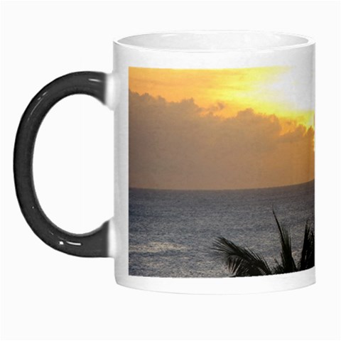 Aruban Sunset Morph Mug from ArtsNow.com Left