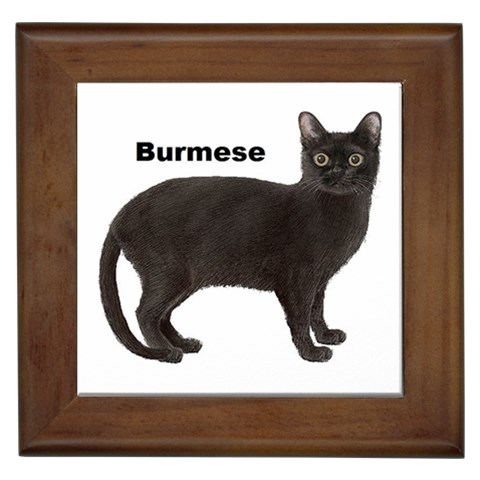 Burmese Framed Tile from ArtsNow.com Front