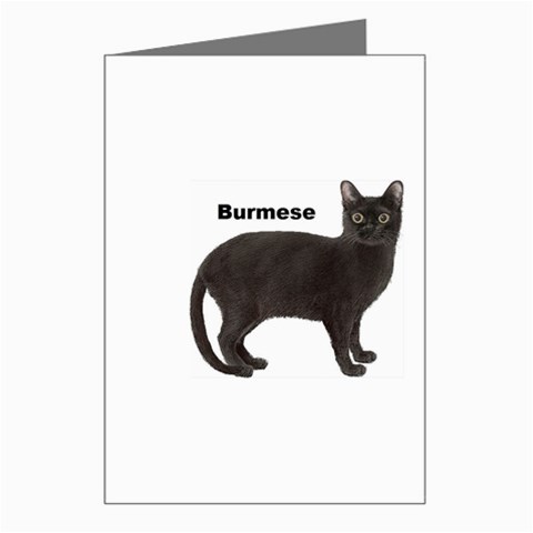 Burmese Greeting Cards (Pkg of 8) from ArtsNow.com Left