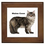 Maine Coon Framed Tile