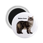 Maine Coon 2.25  Magnet