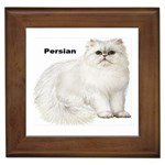 Persian Framed Tile