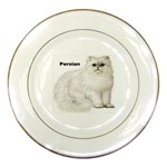 Persian Porcelain Plate