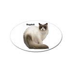 Ragdoll Sticker (Oval)