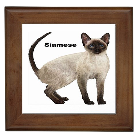 Siamese Framed Tile from ArtsNow.com Front