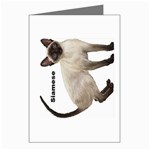 Siamese Greeting Cards (Pkg of 8)