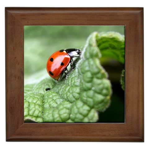 Nature Framed Tile from ArtsNow.com Front