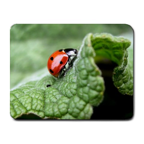 Nature Small Mousepad from ArtsNow.com Front