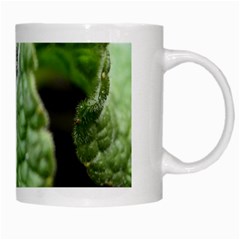 Nature White Mug from ArtsNow.com Right