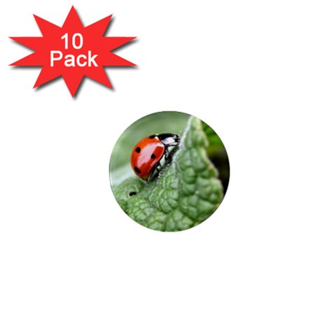 Nature 1  Mini Magnet (10 pack)  from ArtsNow.com Front