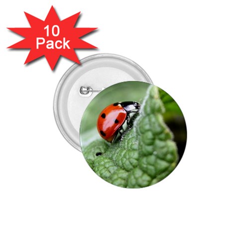 Nature 1.75  Button (10 pack)  from ArtsNow.com Front