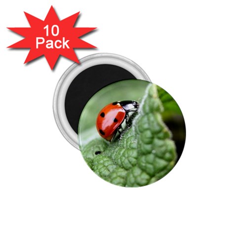 Nature 1.75  Magnet (10 pack)  from ArtsNow.com Front