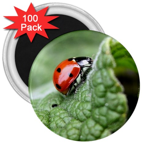 Nature 3  Magnet (100 pack) from ArtsNow.com Front