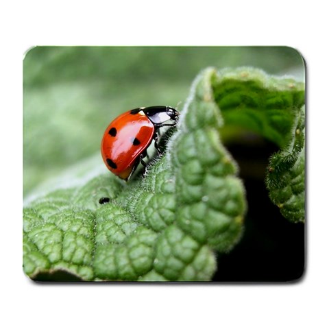 Nature Large Mousepad from ArtsNow.com Front