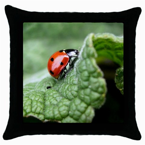 Nature Throw Pillow Case (Black) from ArtsNow.com Front