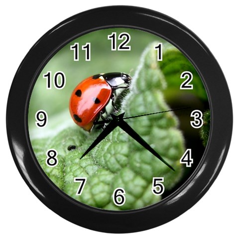 Nature Wall Clock (Black) from ArtsNow.com Front