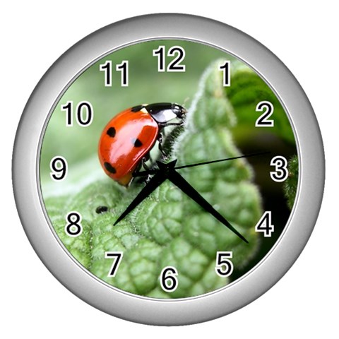 Nature Wall Clock (Silver) from ArtsNow.com Front