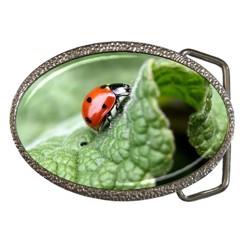 Nature Belt Buckle from ArtsNow.com Front