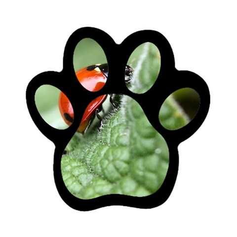 Nature Magnet (Paw Print) from ArtsNow.com Front