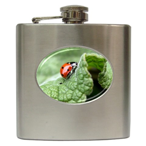 Nature Hip Flask (6 oz) from ArtsNow.com Front