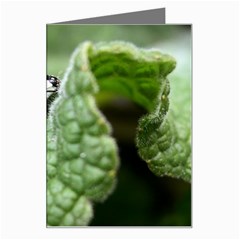 Nature Greeting Card from ArtsNow.com Left