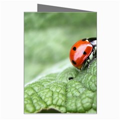 Nature Greeting Card from ArtsNow.com Right