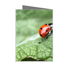 Nature Mini Greeting Card from ArtsNow.com Right