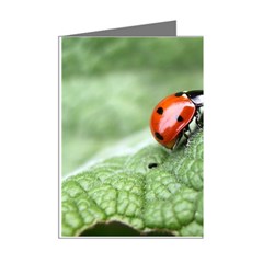 Nature Mini Greeting Cards (Pkg of 8) from ArtsNow.com Right